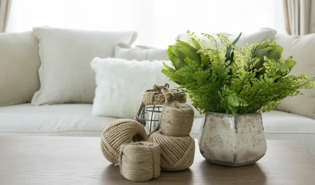 salon çiçeği bakımı