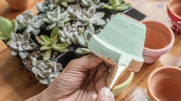 sukulent türleri nelerdir? bakımı nasıl yapılır?