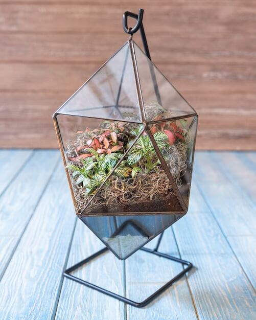 teraryum modelleri ve aranjmanları nelerdir?