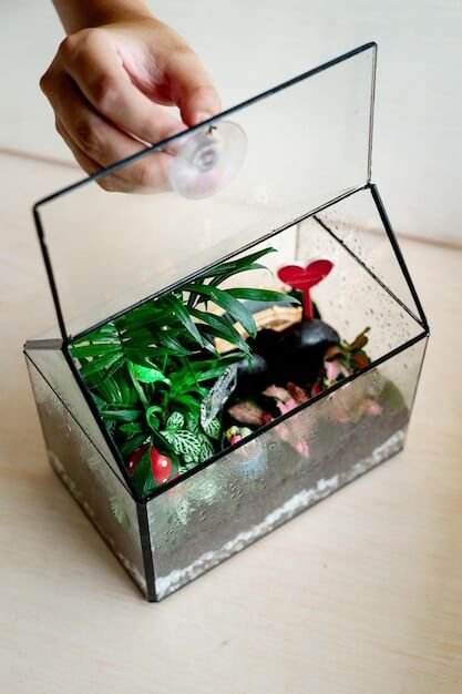 teraryum (terrarium) nedir? nasıl yapılır?